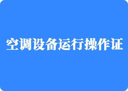 大鸡吧操骚逼视频制冷工证